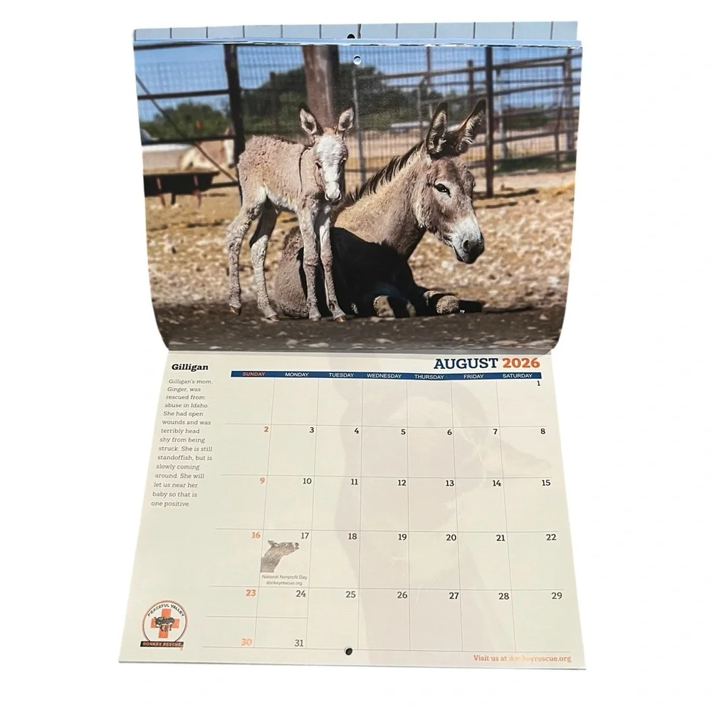2026 Wall Calendar Babies Born To Bray Peaceful Valley Donkey Rescue 13 Month